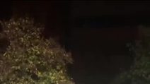 Antonella Clerici e il maltempo in Piemonte: i video di piogge e allagamenti