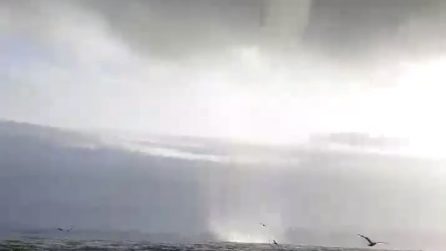 L'enorme tromba marina a largo di Piombino