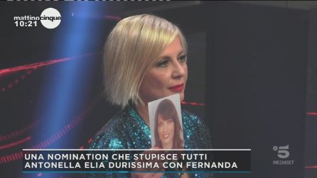 Federica Panicucci su Fernanda Lessa: "Chiama lesbica Licia Nunez, ha perso un'occasione"