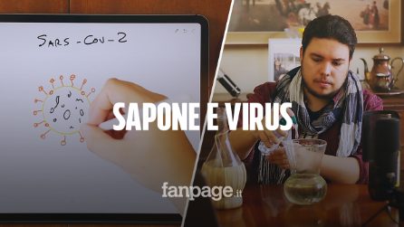 Così il sapone "disintegra" il coronavirus (in 20 secondi)