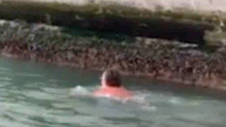 Venezia, turisti si tuffano e nuotano sotto il ponte di Rialto: un veneziano li richiama