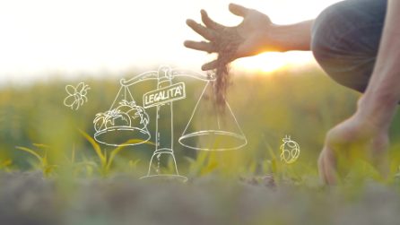 Una buona spesa può cambiare il mondo - La legalità nelle filiere alimentari Coop