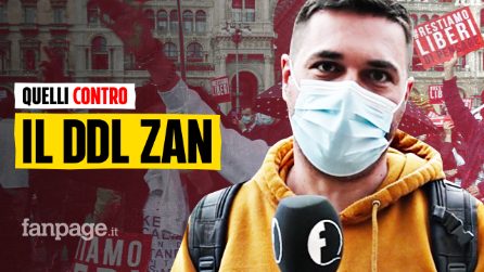 "L'omofobo è la vera vittima": cosa pensano davvero quelli contro il DDL ZAN