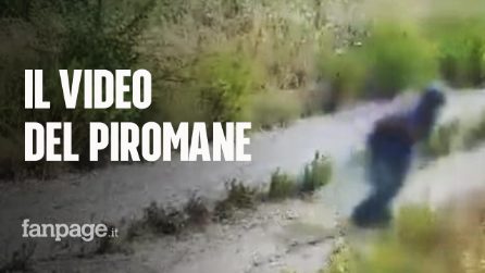 Così agisce un piromane: appicca incendio con un accendino, poi scappa