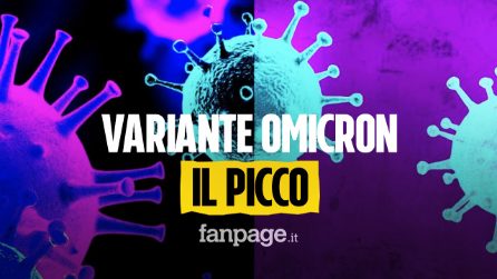 Variante Omicron, quando caleranno contagi e morti: i numeri di uno studio americano